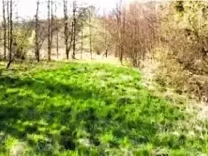 Prodej pozemku pro bydlení, Český Těšín, 1469 m2
