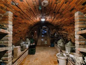 Prodej chalupy, Prušánky, Nechory, 80 m2