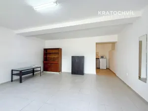 Pronájem bytu 1+kk, Kladno, Vrapická, 38 m2