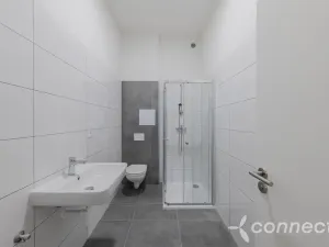 Prodej bytu 5+kk, Přerov - Přerov I-Město, Husova, 90 m2