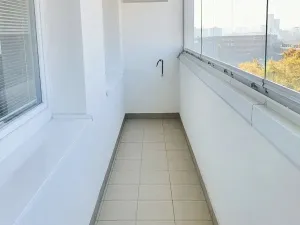 Pronájem bytu 1+kk, Praha - Podolí, Kaplická, 28 m2