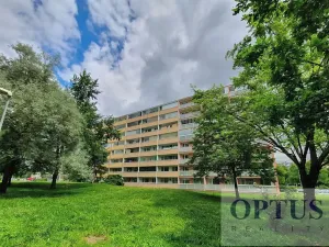 Pronájem bytu 1+kk, Praha - Podolí, Kaplická, 28 m2