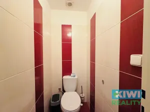 Pronájem komerční nemovitosti, Ostrava, Nádražní, 42 m2