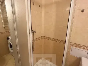 Pronájem bytu 1+kk, Praha - Nusle, U křížku, 28 m2