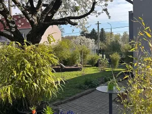 Prodej rodinného domu, Hrob, 158 m2
