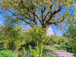 Prodej rodinného domu, Hrob, 158 m2