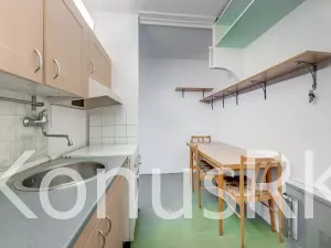 Pronájem bytu 2+1, Kladno, Francouzská, 51 m2