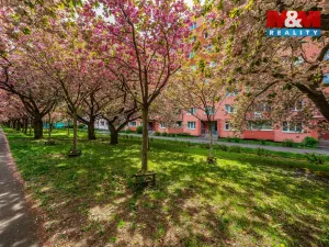 Prodej bytu 2+1, Ústí nad Labem - Severní Terasa, Pod Parkem, 62 m2