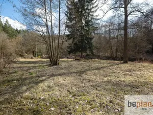 Prodej pozemku, Poříčí nad Sázavou, Potočiny, 3297 m2