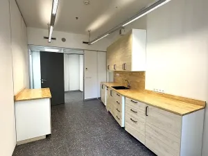 Pronájem kanceláře, Brno, Úzká, 300 m2