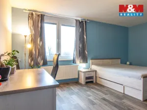 Prodej bytu 4+kk, Liberec - Liberec III-Jeřáb, Americká, 103 m2
