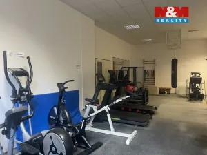 Prodej bytu 4+kk, Liberec - Liberec III-Jeřáb, Americká, 103 m2