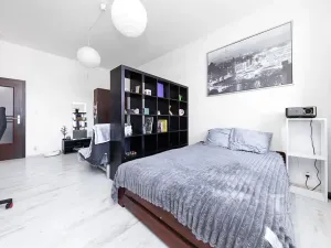 Prodej bytu 1+1, Brno, Spolková, 39 m2