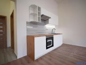 Pronájem bytu 3+kk, Teplice, Českobratrská, 60 m2