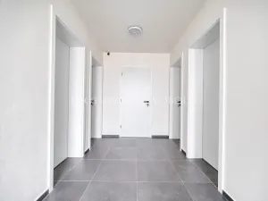 Prodej apartmánu, Frymburk, 233 m2
