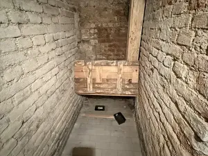Pronájem obchodního prostoru, Praha - Nové Město, Rumunská, 200 m2