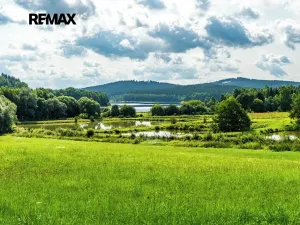 Prodej pozemku, Nová Pec, 9752 m2