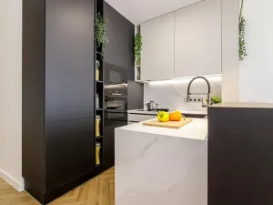 Pronájem bytu 3+kk, Ostrava, Čkalovova, 60 m2