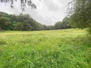 Dražba louky, Úterý, 11289 m2