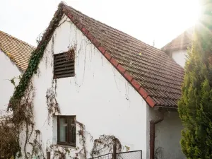 Prodej chalupy, Podmokly, 98 m2