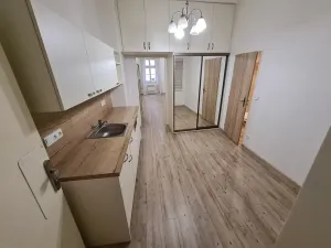 Pronájem bytu 1+kk, Praha - Nové Město, Opletalova, 43 m2