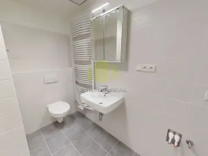Pronájem bytu 1+kk, Olomouc, Wolkerova, 43 m2