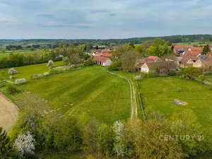 Prodej zemědělské usedlosti, Loket, 80 m2