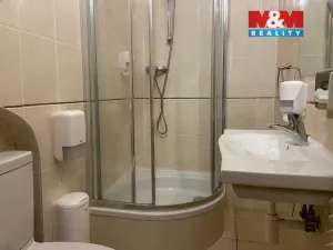 Pronájem bytu 4+kk, Plzeň - Vnitřní Město, Zbrojnická, 110 m2