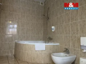 Pronájem bytu 4+kk, Plzeň - Vnitřní Město, Zbrojnická, 110 m2