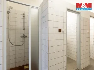 Pronájem výrobních prostor, Dnešice, 694 m2