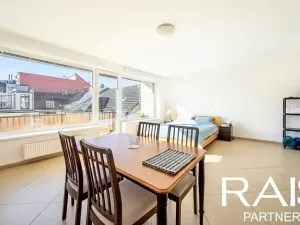 Prodej bytu 1+kk, Brno, Hálkova, 55 m2