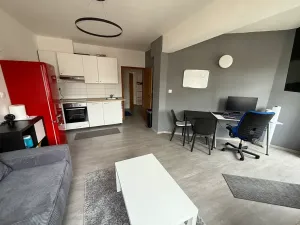 Prodej bytu 2+kk, Praha - Žižkov, Dalimilova, 52 m2