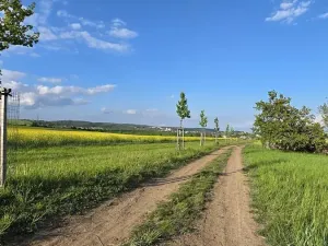 Prodej pole, Tvarožná, 1232 m2