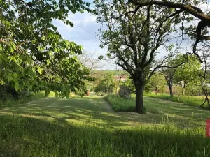 Prodej pole, Tvarožná, 1232 m2