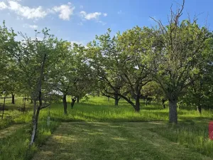 Prodej pole, Tvarožná, 1232 m2