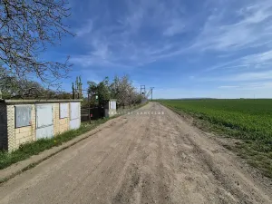 Prodej zahrady, Šlapanice, 257 m2