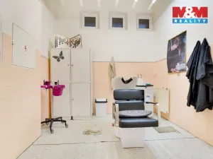 Prodej obchodního prostoru, Chomutov, Palackého, 159 m2