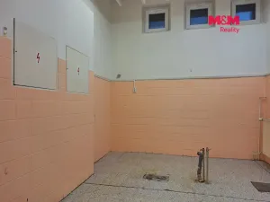 Prodej obchodního prostoru, Chomutov, Palackého, 159 m2