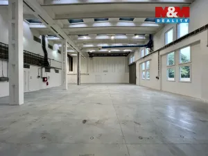 Pronájem výrobních prostor, Město Albrechtice, L. Janáčka, 410 m2