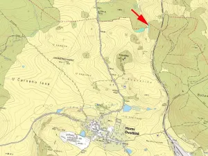 Prodej lesa, Horní Dvořiště, 1471 m2