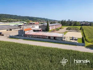 Prodej výrobních prostor, Dolany, 900 m2