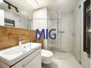 Pronájem bytu 2+kk, Brno, Cejl, 57 m2
