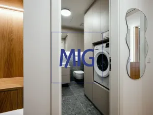 Pronájem bytu 1+kk, Brno, Bratislavská, 45 m2