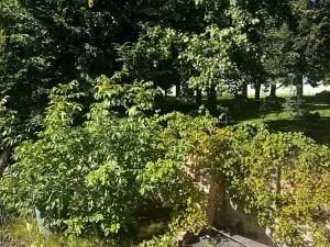 Prodej pozemku pro bydlení, Klecany, Čsl. armády, 1400 m2