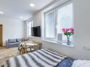Pronájem bytu 1+kk, Zlín, Štefánikova, 24 m2