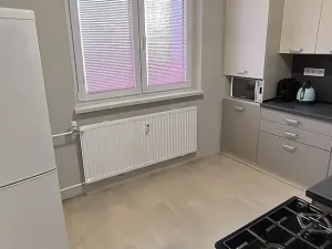 Pronájem bytu 3+1, Cheb, Dvořákova, 75 m2