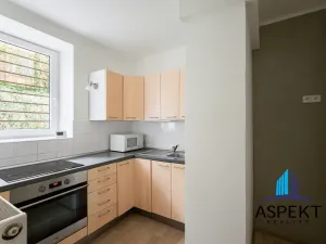 Pronájem bytu 1+1, Praha - Podolí, U podolského hřbitova, 30 m2