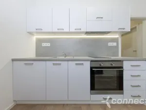 Pronájem bytu 1+1, Přerov - Přerov I-Město, Husova, 29 m2