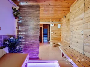 Prodej komerční nemovitosti, Soběslav, 514 m2