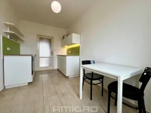 Prodej bytu 1+1, Brno, Merhautova, 48 m2
